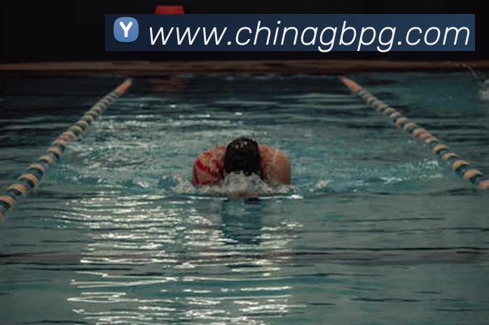 App Interface Preview